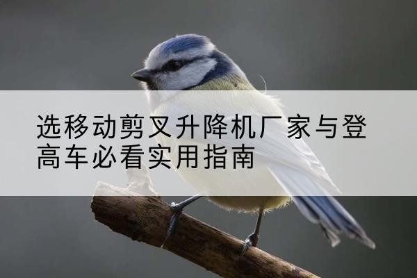 巴州电动升降机厂家-选移动剪叉升降机厂家与登高车必看实用指南