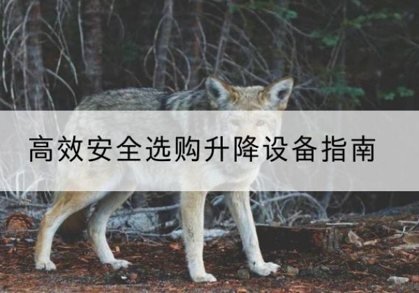 巴州升降货梯厂家推荐-*安全选购升降设备指南