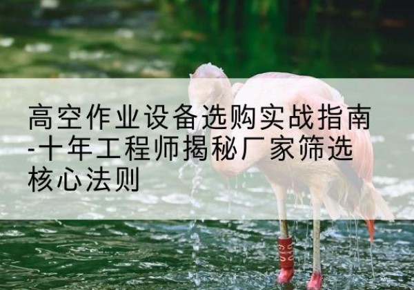 巴州剪叉式升降机厂家-高空作业设备选购实战指南-十年工程师揭秘厂家筛选核心法则